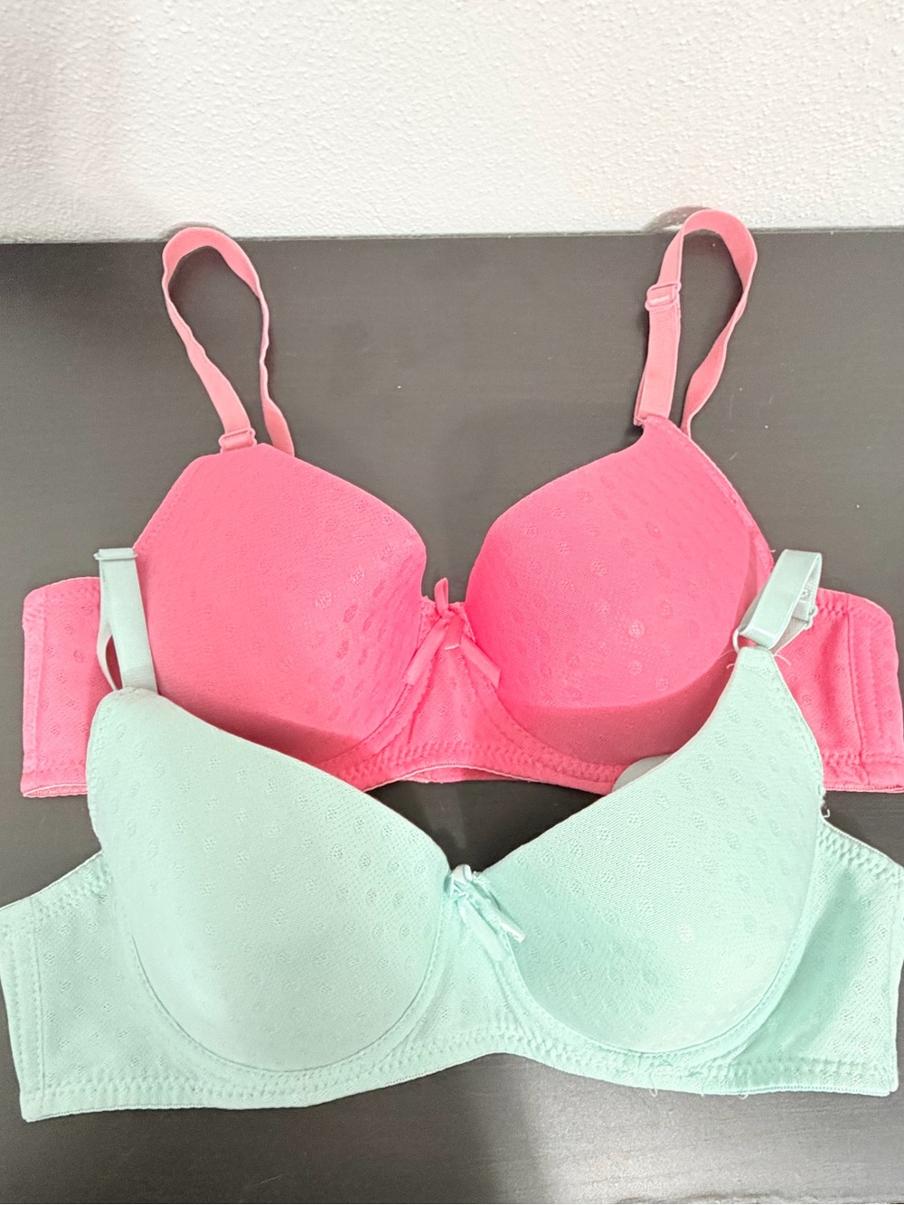 Mamia Pink and Mint Lightly Padded T-Shirt Bras 34B